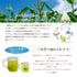 静岡茶 水出し専用深蒸し茶 5g×20p